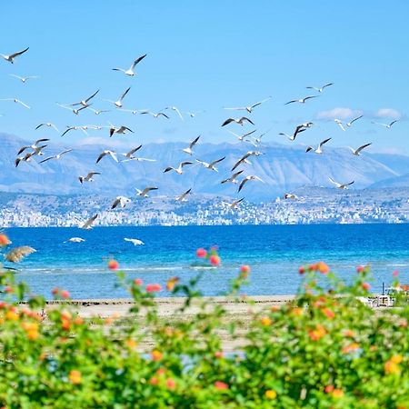 Nikos Kalamaki Corfu Apraos Ngoại thất bức ảnh